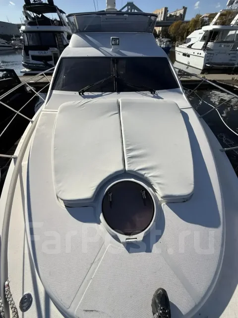������. 2008 ��� ����