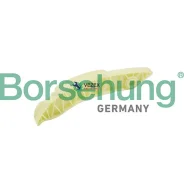 ������������ ���� MINI R56 -13 ��� Borsehung B1G054 B1G054 ����