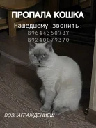 �����. ����
