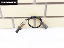 ������-���� 8946553130 8946553130 ����