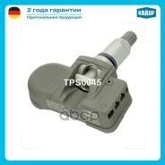������ �������� � ���� / Chrysler 300 C 3.5 2004-2011. 300 C 5.7 2004-2011. 300 C 6.1 SRT8 2005-2011. 300 C 3.0 CRD 2005-2011. Sebring III 2.0 CRD 200...