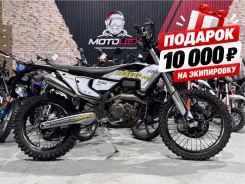 Regulmoto Legend Pro. 300����. ��., ��������, ���������, ��� ������� ����