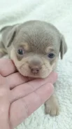 ��������. ����