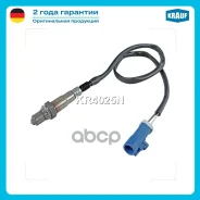 ������-���� FORD C-Max 1.6[PNDA][PNDD]123�. �. 2010-2019 FORD C-Max 1.6[IQDA][IQDB]105�. �. 2010-2019 FORD C-Max 1.6[MUDA][MUDD]120�. �. 2011-2019 FOR...