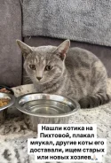 �����. ����