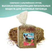 ���� ���������� Alpiland Rose � ����� 500 � FIORY ����
