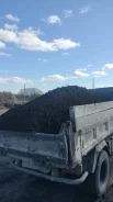 �����������. ����