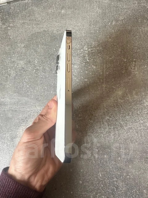 Apple iPhone 13 Pro Max. �����, 256 ��, 4G LTE, 5G, NFC, eSIM, ������� �������, ������������ ������� ����