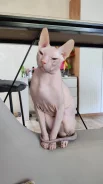 ������. ����