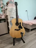 ������ ������������. ����