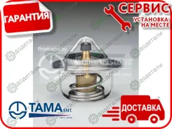 ��������� TAMA 2171 W54NA-82 � ��������� � ��������� [W54NA82] W54NA82 ����