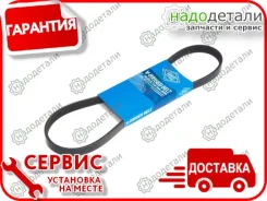 ������ ������������ Sun � ��������� � ��������� [4PK715] 4PK715 ����