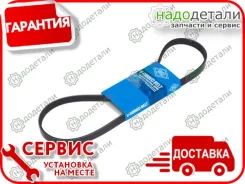������ ������������ Sun � ��������� � ��������� [4PK855] 4PK855 ����