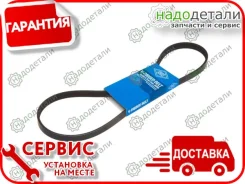 ������ ������������ Sun � ��������� � ��������� [4PK895] 4PK895 ����