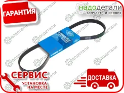 ������ ������������ Sun � ��������� � ��������� [4PK810] 4PK810 ����