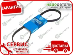 ������ ������������ Sun � ��������� � ��������� [4PK845] 4PK845 ����