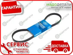 ������ ������������ Sun � ��������� � ��������� [4PK800] 4PK800 ����