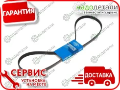 ������ ������������ Sun � ��������� � ��������� [5PK1280] 5PK1280 ����