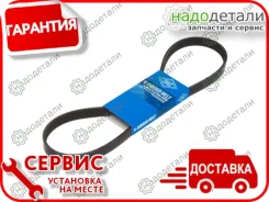 ������ ������������ Sun � ��������� � ��������� [5PK885] 5PK885 ����