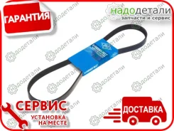 ������ ������������ Sun � ��������� � ��������� [5PK930] 5PK930 ����