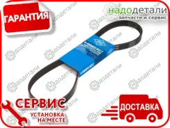 ������ ������������ Sun � ��������� � ��������� [5PK865] 5PK865 ����