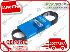 ������ ������������ Sun � ��������� � ��������� [6PK1065] 6PK1065 ����