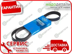 ������ ������������ Sun � ��������� � ��������� [6PK1300] 6PK1300 ����
