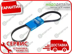 ������ ������������ Sun � ��������� � ��������� [6PK1195] 6PK1195 ����