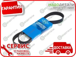 ������ ������������ Sun � ��������� � ��������� [6PK1175] 6PK1175 ����