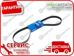 ������ ������������ Sun � ��������� � ��������� [6PK1305] 6PK1305 ����