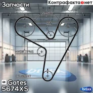 ������ ��� �������� ������|������ Gates ���. 5674XS 5674XS ����