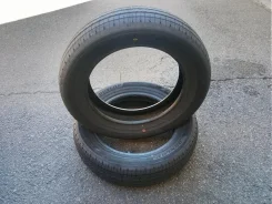 Dunlop Enasave EC205