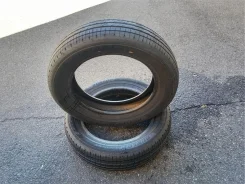 Dunlop Enasave EC205