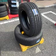 Goodyear Assurance MaxGuard SUV