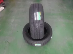 Dunlop Enasave EC205