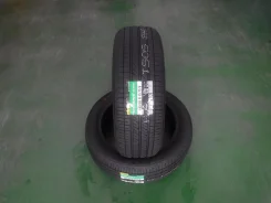Dunlop Enasave EC205
