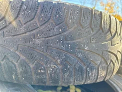 Nordman RS. ������, ��� �����, �/�, ����� 50 % ����