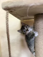 �����. ����