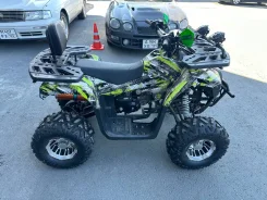 Avantis Hunter 150. ��������, ��� ���\���, ��� ������� ����