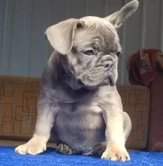 ����������� �������. ��� ����� �� ������������ ����