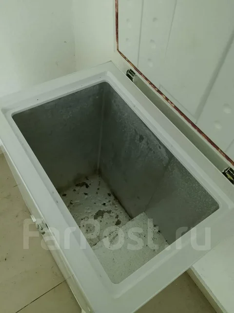 ���� �����������. ����