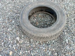 Barum Norpolaris. �����������, 2007 ���, �/�, ����� 50 % ����