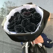 ����. ��� ����� �� ������������ ����