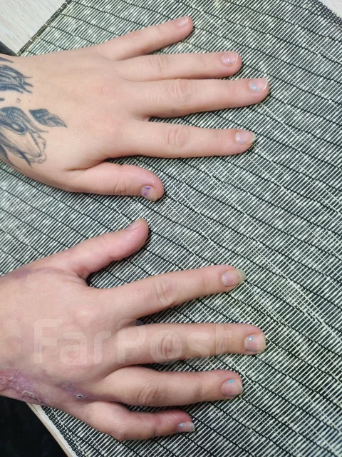 ����������� ������. ����