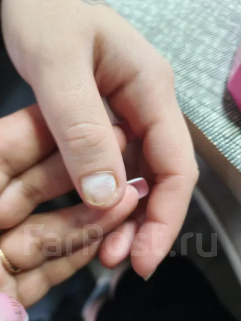 ����������� ������. ����