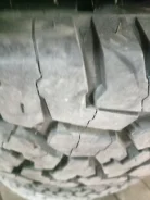 5Fivex. ������, 2024 ���, �/�, ����� �� 5 % ����