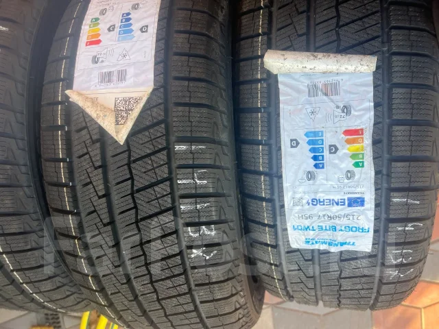 Transmate Frost Bite TW01. ������, ��� �����, 2026 ���, ����� ����