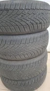 Apollo Hawkz Winter. ������, ��� �����, 2022 ���, �/�, ����� �� 5 % ����