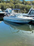 Yamaha FR-21. 1990 ���, ����� 6,1��., ��������� ���������, 115��.�., ������ ����