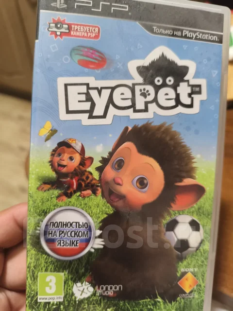 ����. ����
